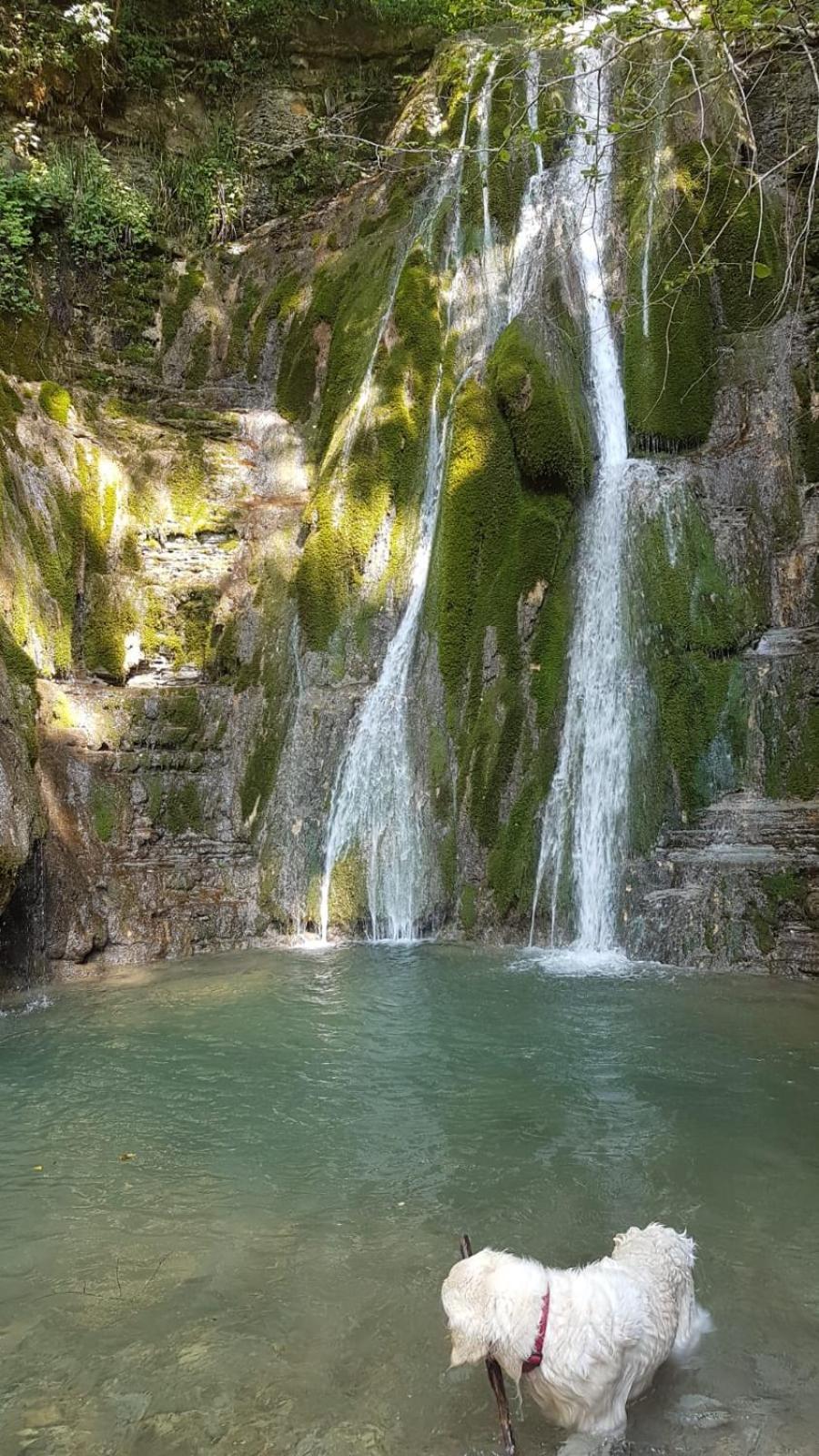 Alloggio Petrigh Canal di Grivo Buitenkant foto